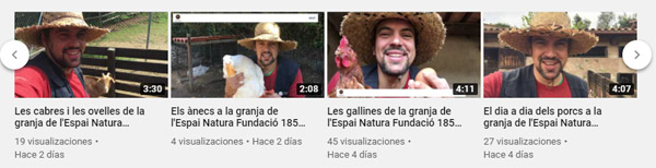 videos youtube animals granja